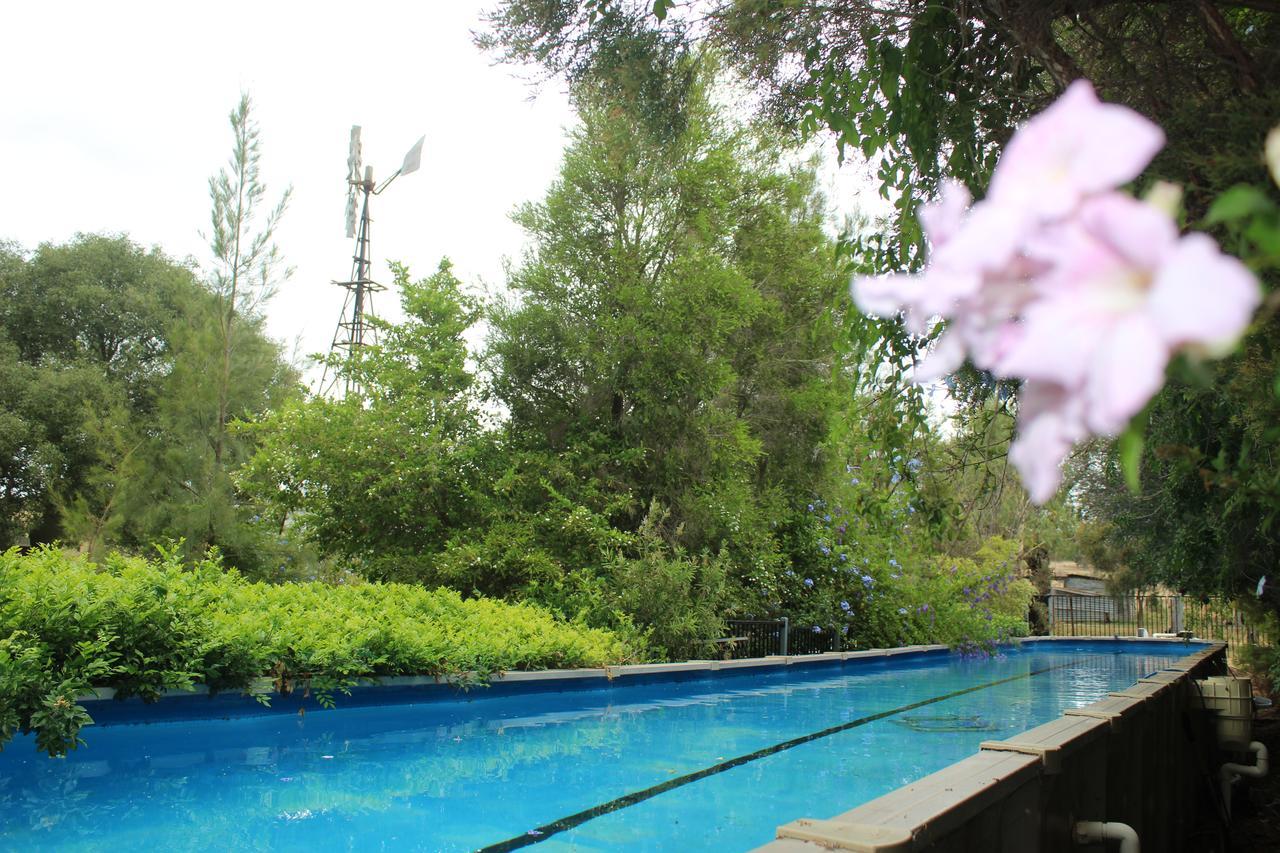 Rosebank Homestead And Farmstay Dalby Zewnętrze zdjęcie